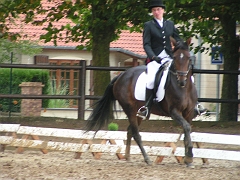 PO 2008 (7)